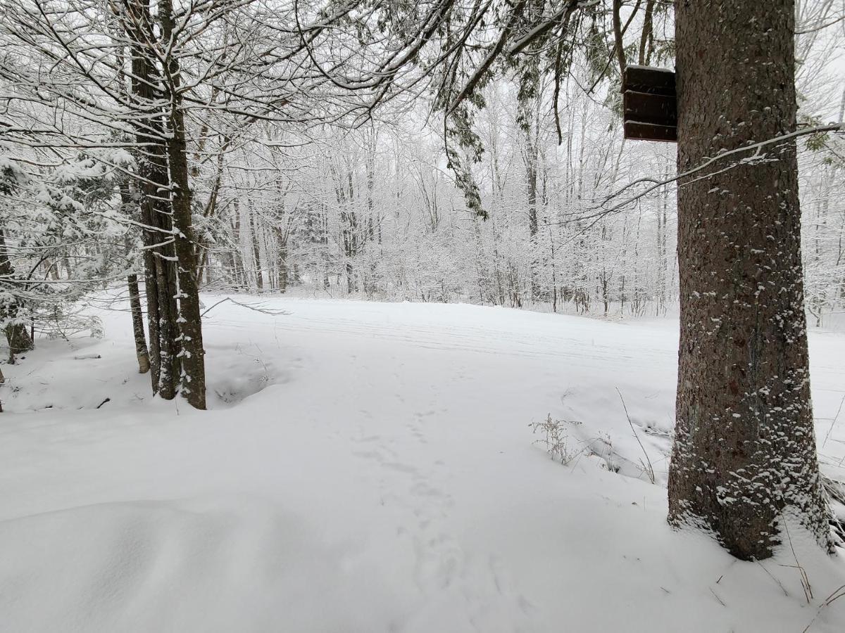 Ski In/Out Spruce Glen Townhomes On Great Eastern Trail Killington Exteriör bild