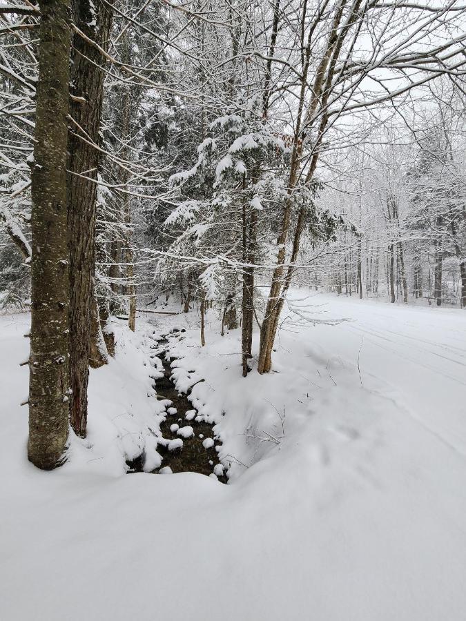 Ski In/Out Spruce Glen Townhomes On Great Eastern Trail Killington Exteriör bild